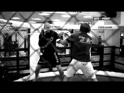 Stefan Struve Stipe Miocic