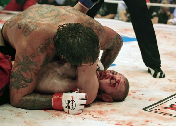 Emelianenko vs Gluhov