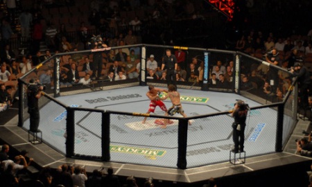 Octagon UFC