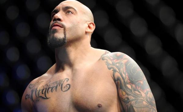 Lavar Johnson UFC MMA