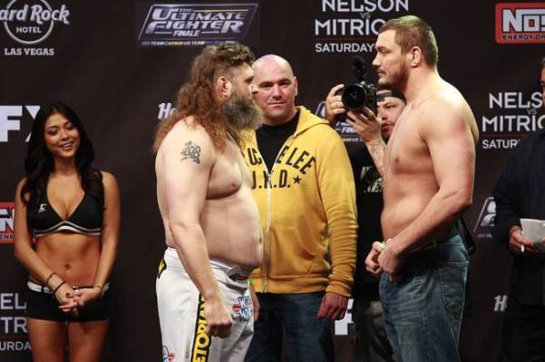 Nelson vs Mitrione TUF 16 Finale