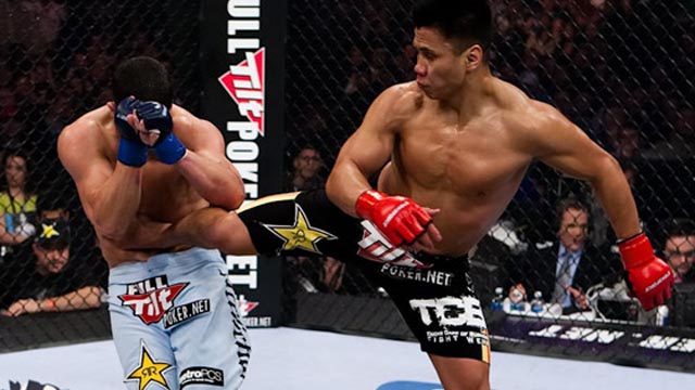 Cung Le