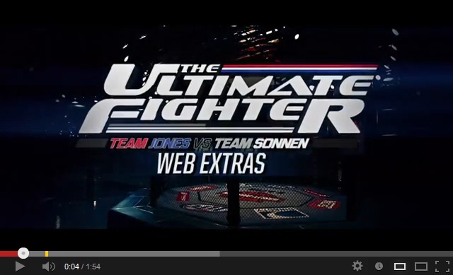 TUF 17