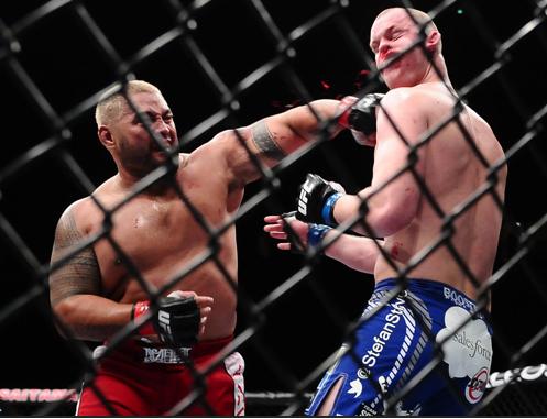 Mark Hunt vs Stefan Struve
