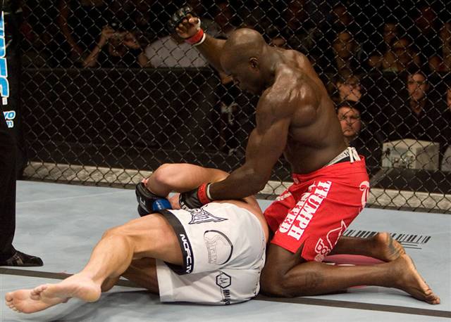 Cheick Kongo