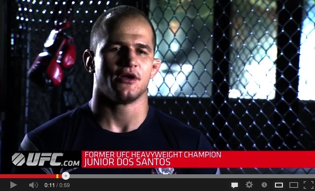 Junior Dos Santos