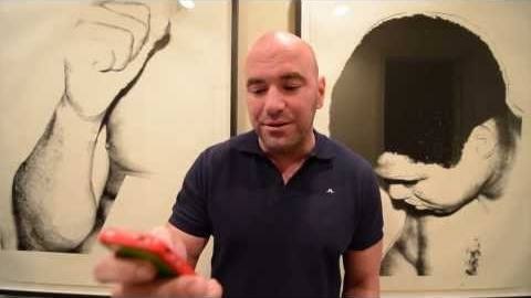 Dana White Vblog