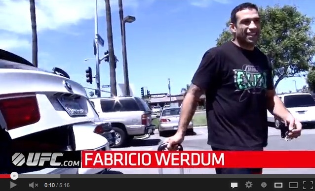 Fabricio Werdum
