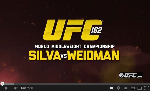 UFC 162 Preview