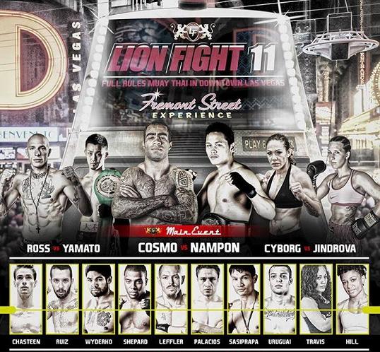 Lion Fight 11 poster