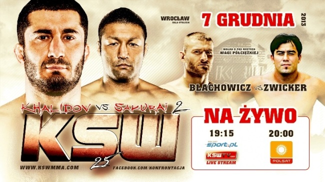 KSW 25
