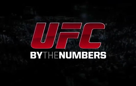 UFC 168