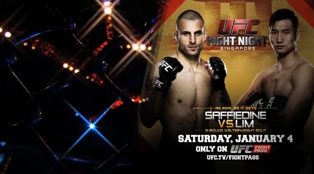 UFC Fight Night 34 Singapoure
