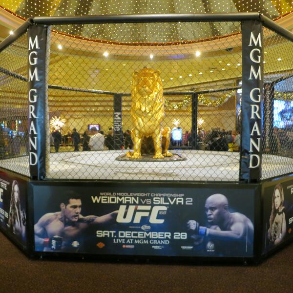 MGM Grand Garden Arena