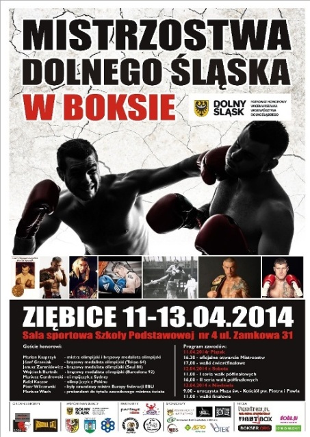 Mistrzostwa Dolnego Śląska w Boksie