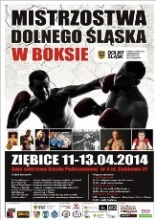 Mistrzostwa Dolnego Śląska w Boksie  Mistrzostwa Dolnego Śląska w Boksie
