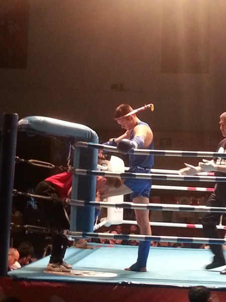 Mistrzostwa Świata Muay Thai 2014  Mistrzostwa Świata Muay Thai 2014