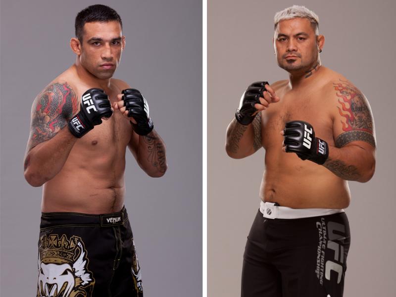 Fabricio Werdum vs Mark Hunt