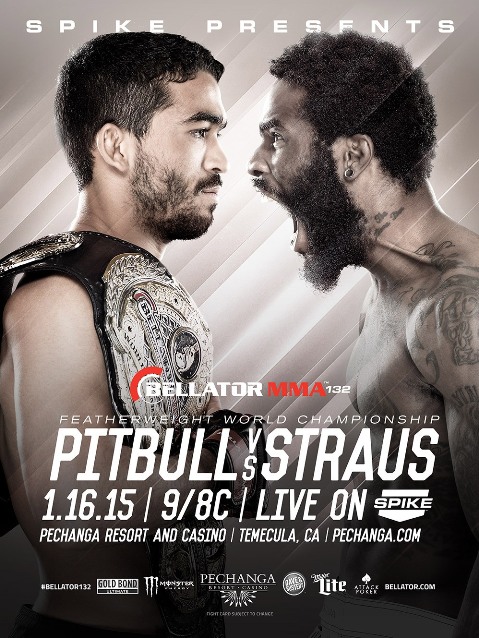 Bellator 132