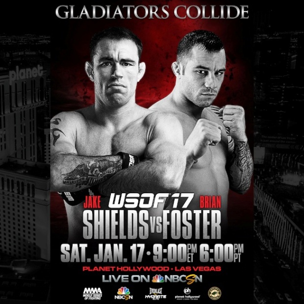 WSOF 17
