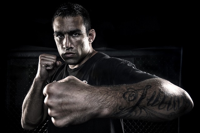 Fabricio Werdum