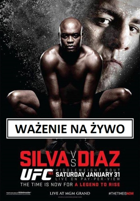 UFC 183 Silva vs Diaz