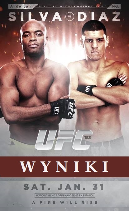 UFC 183 poster