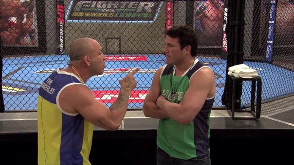 Wanderlei Silva vs Chael Sonnen