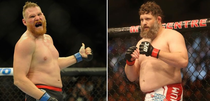 UFC Barnett vs Nelson