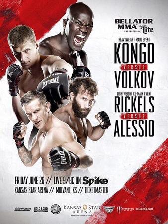 Bellator 139 poster