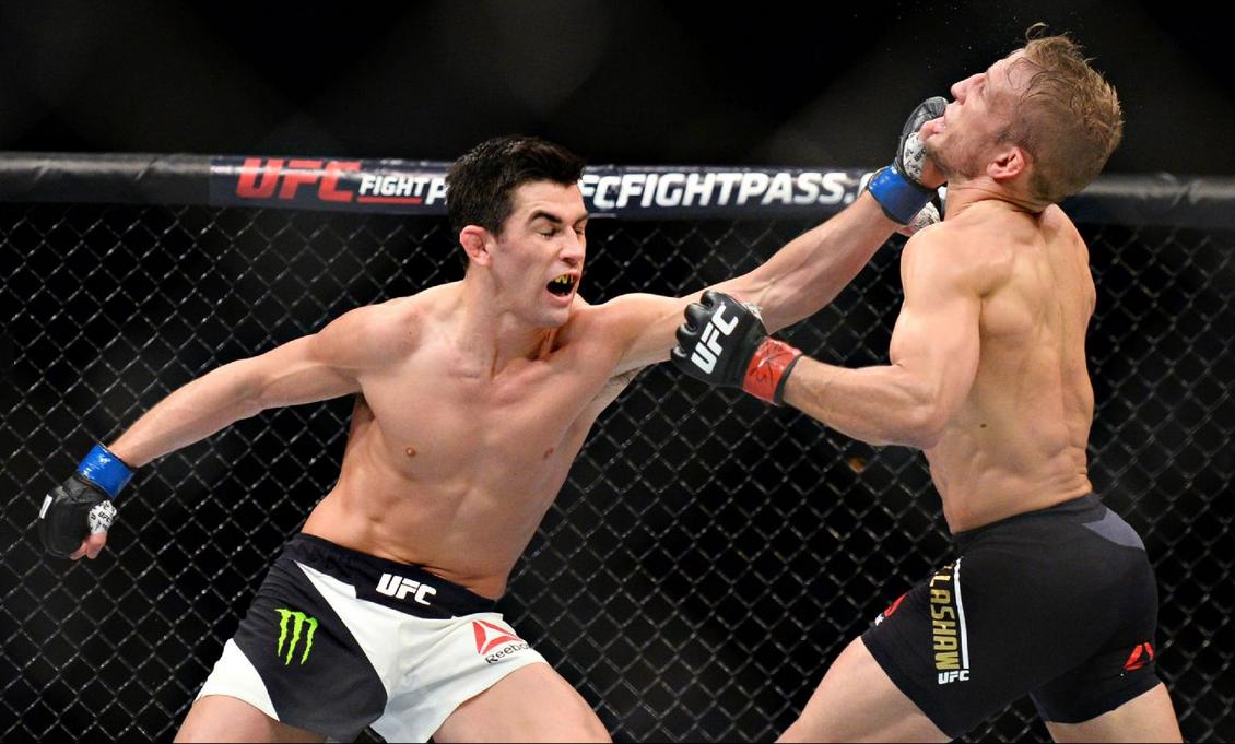 Dominick Cruz vs T.J. Dillashaw