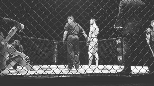 fot. WSOF Facebook - Kamil Łebkowski