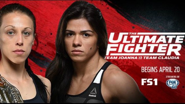 TUF 23