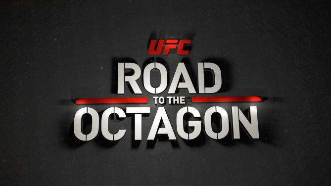 Road to the Octagon