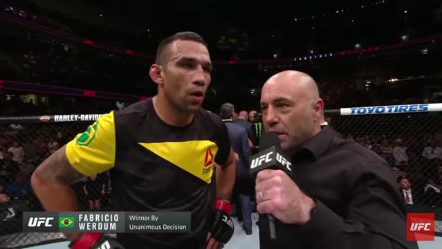 Werdum, Rogan
