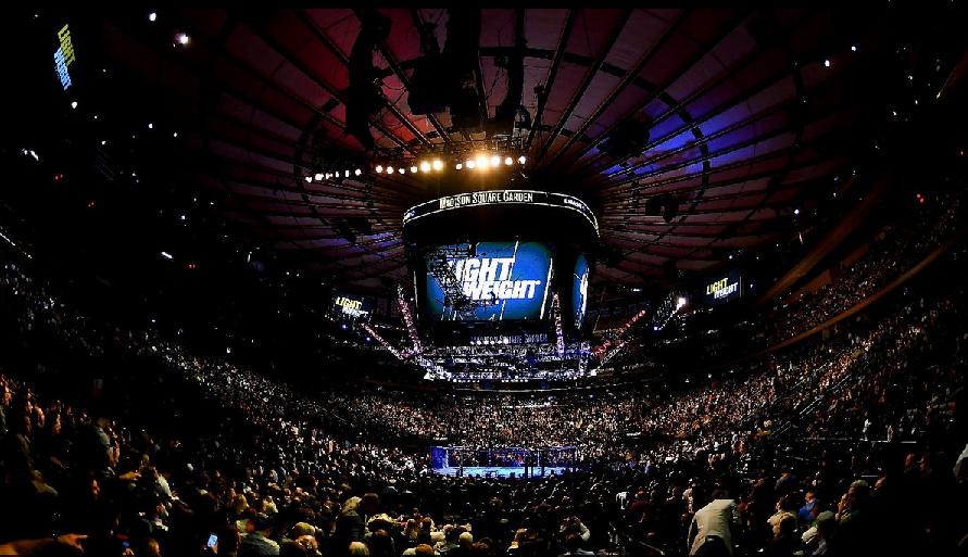 Madison Square Garden