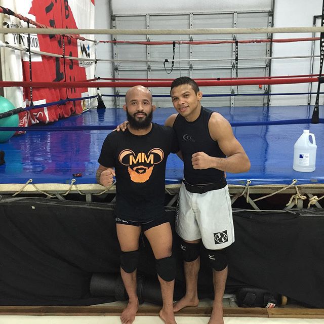 Demetrious Johnson & Bibiano Fernandes