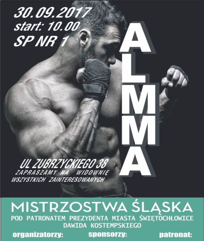 ALMMA 136 Świętochłowice