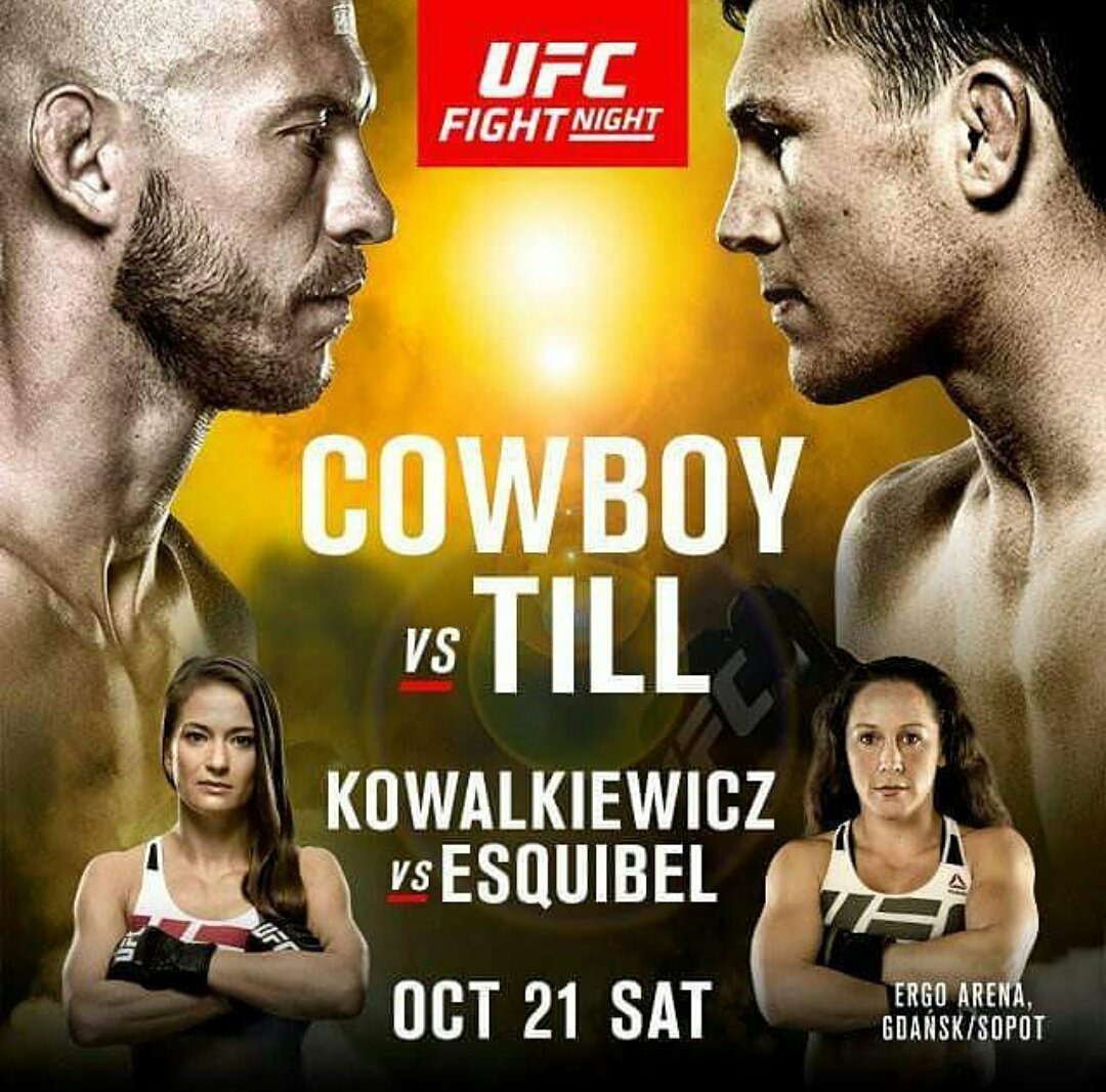 UFC Fight Night 118 Gdańsk