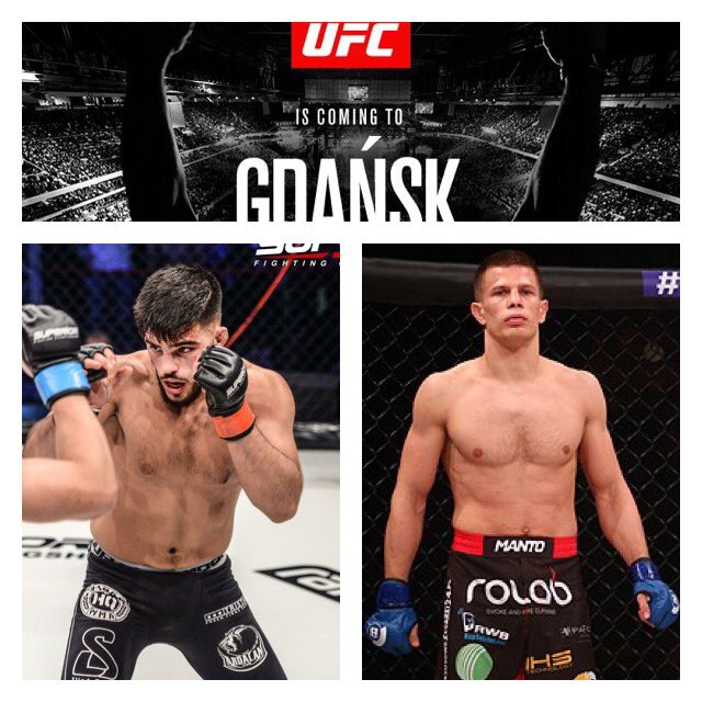 UFC Gdańsk Held vs Haqparast