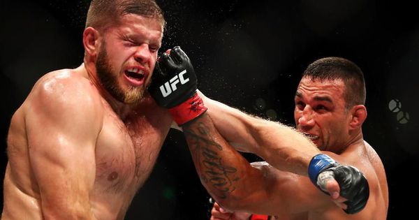 UFC Fight Night Werdum vs Tybura