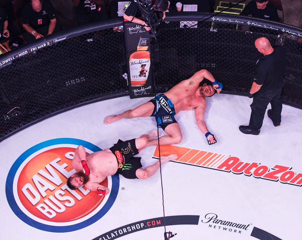 Matt Mitrione vs Roy Nelson