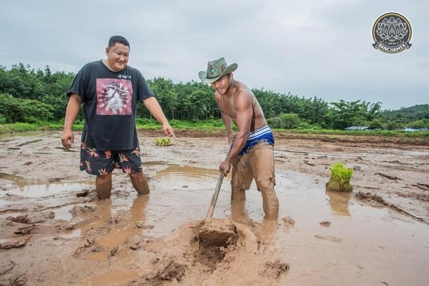 Buakaw Banchamek