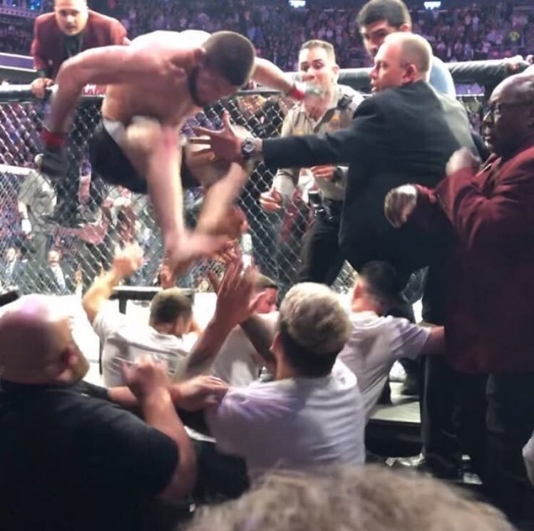 Khabib Nurmagomedov Brawl UFC 229