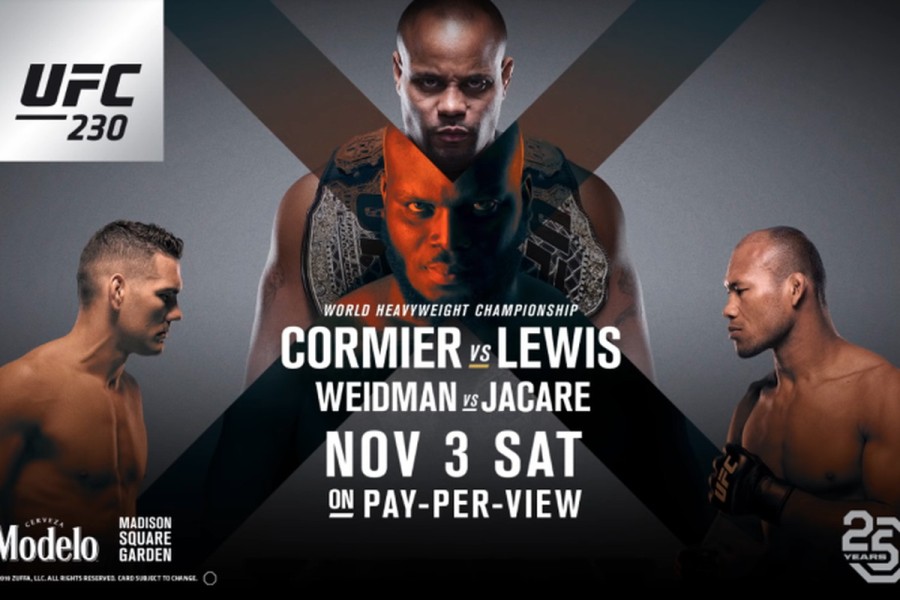 UFC 230