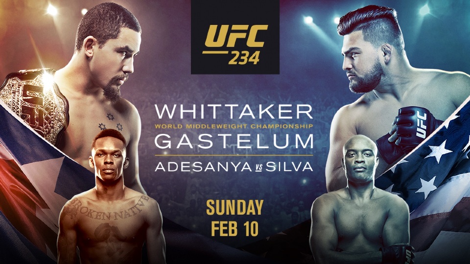 UFC 234