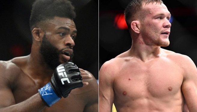 Aljamain Sterling vs Petr Yan