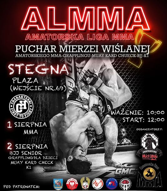 ALMMA 182 Stegna