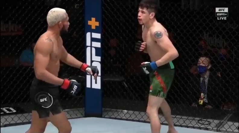 Deiveson Figueiredo vs Brandon Moreno