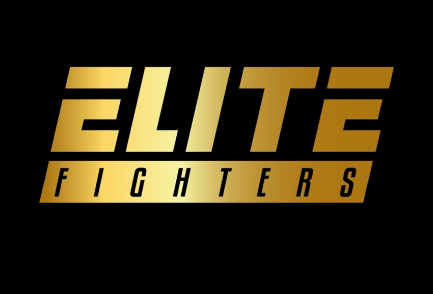 Elite Fighters 1